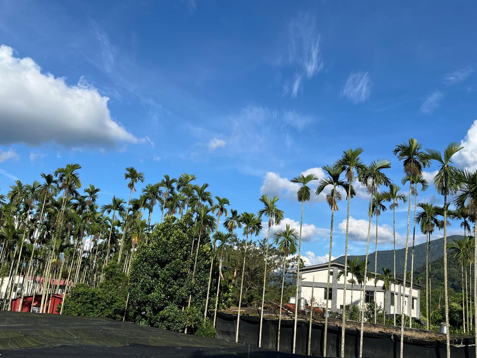時間煮雨包棟民宿 Yuchi Exterior foto